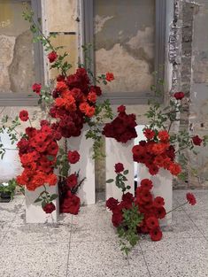 three white vases with red flowers and greenery on the floor in front of a window