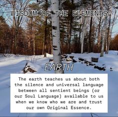 the earth teaches us about both the science and universal language between all sentient beings or our soul language available to us when we know who are