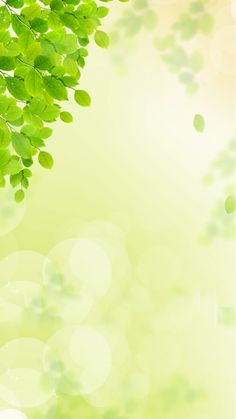 green leaves are hanging from the branches of a tree in front of a light colored background