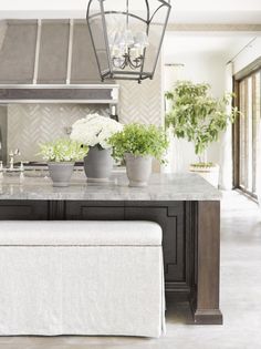 a kitchen with an island and potted plants