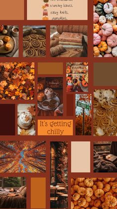 a collage of pictures with pumpkins and other things