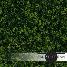 an aerial view of a green hedge with the words 3rd street inn