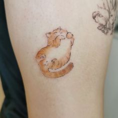 an orange and white cat sitting on top of a woman's leg with tattoos