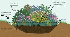 a garden plot with flowers and plants labeled in the soil, including plant life diagram