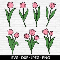 pink tulips with green leaves svg dxf png cut files