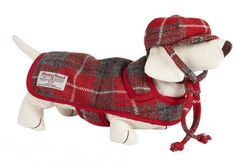 a dog wearing a red plaid coat and hat