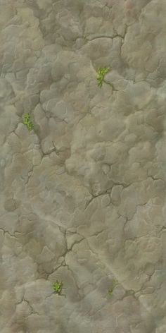 some green plants growing on the side of a stone wall with cracks and cracks in it