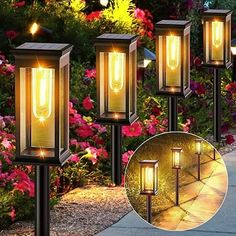 four lights that are on the side of a sidewalk in front of some bushes and flowers