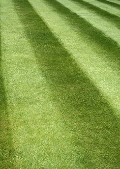 the shadow of a bench on green grass