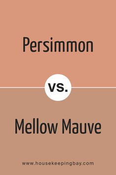 Persimmon SW 6339 by Sherwin Williams vs Mellow Mauve SW 0039 by Sherwin Williams Orange Paint Colors, Orange Paint, Red And Orange, Persimmon, Coordinating Colors, Sherwin Williams, Paint Color, Accent Colors, Warm Colors