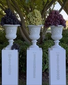 three white urns with grapes in them sitting on top of each other next to trees