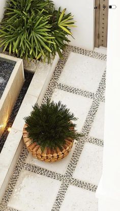 a potted plant sitting on top of a white tiled floor next to a fountain