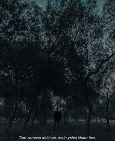 a man standing in the middle of a forest with trees on both sides and a sky background