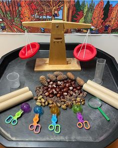 an assortment of objects are on a tray