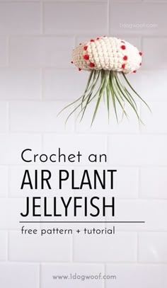 crochet an air plant jellyfish with free pattern