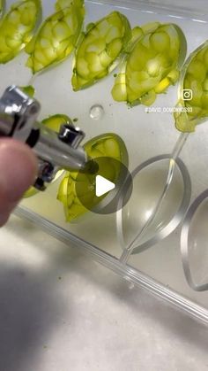 a person is using scissors to cut up some green flowers on a sheet of clear plastic