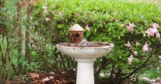 a bird bath sitting in the middle of a garden