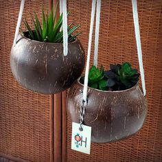 two hanging planters with plants in them