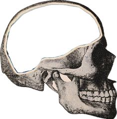 an image of a human skull with a speech bubble in it's mouth, vintage line drawing or engraving