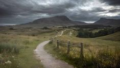 a dirt path in the middle of a grassy field with mountains in the back ground