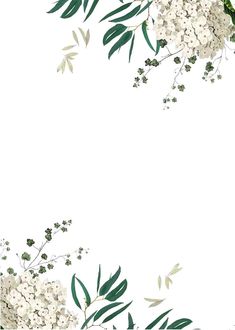 white flowers and green leaves on a white background