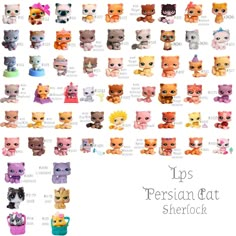 many different types of cats and kittens are shown in this poster, with the caption'tips persian cat sherlock '