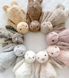 a group of stuffed animals arranged in a circle