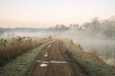 a dirt road with fog on the ground and trees in the background, near a body of water