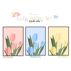 three different colored tulips are shown with the words tulip petals on them