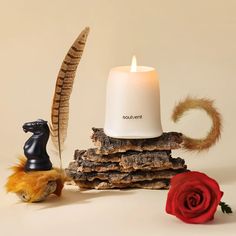 a white candle sitting on top of a stack of logs next to a red rose