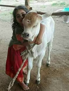 a woman is hugging a small cow in the dirt