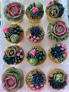 cupcakes decorated with flowers and succulents on a white platter