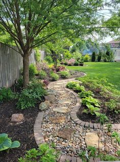 a garden with lots of plants and rocks