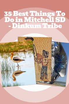 three different pictures with the words, 5 best things to do in mitchell sd - dinum tribe