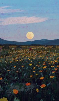 a field full of flowers with the moon in the background