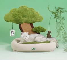 a white cat laying on top of a bed next to a green tree and sign