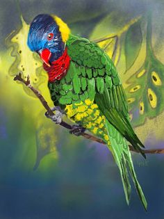 a colorful bird sitting on top of a tree branch in front of a green and yellow background