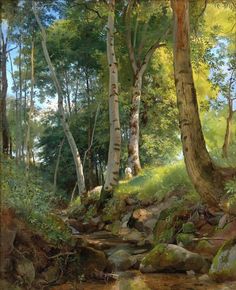 a painting of trees and rocks in the woods