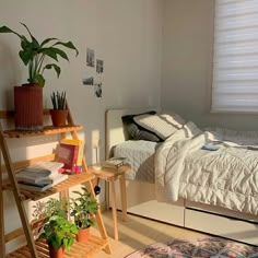 a bedroom with a bed, desk and plants on the shelves in front of it