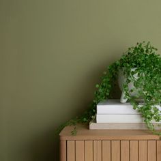 a plant is growing on top of some books in front of a green painted wall