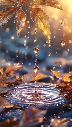 water drops falling from a leaf into a pond with leaves floating in the air and on top of it