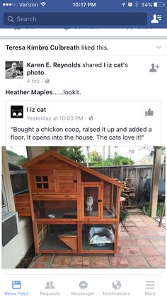 an instagramted photo of a cat in a chicken coop