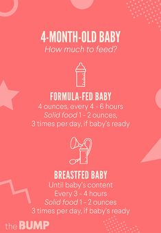 the baby's first steps are shown in this info sheet, which shows how to feed