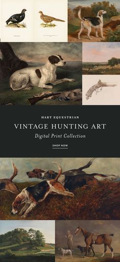 Vintage Hunting Art Print Set | Masculine Office Decor Rustic Hunting Cabin, Masculine Office Decor, Masculine Aesthetic, Masculine Office, Masculine Art, Vintage Hunting, Hunting Art, Hunting Decor