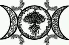 three phases of the moon with trees and leaves on them, vintage line drawing or engraving