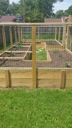 an outdoor garden area with raised beds and fencing