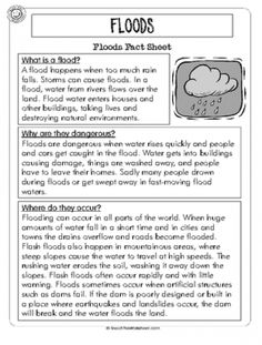 the flood worksheet for students to help them understand what is in the water