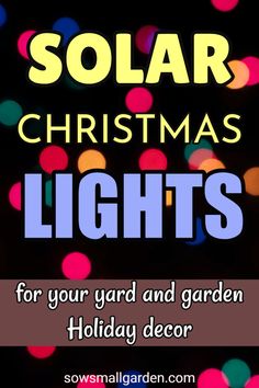 the words solar christmas lights for your yard and garden holiday decor