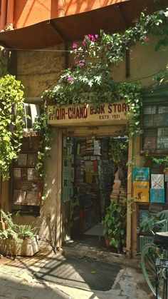 a store front with lots of plants growing out of it