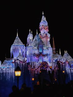 the castle is lit up with christmas lights